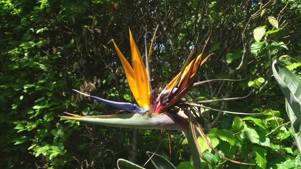 Le domaine de Chaumont-sur-Loire : un trésor caché à explorer absolument! 12 domaine de Chaumont-sur-Loire