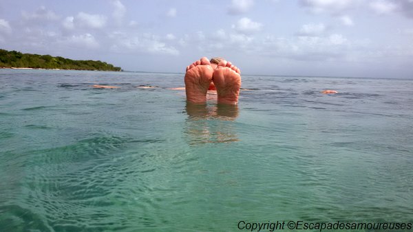 #Guadeloupe : nos plages favorites 16 guadeloupeplage