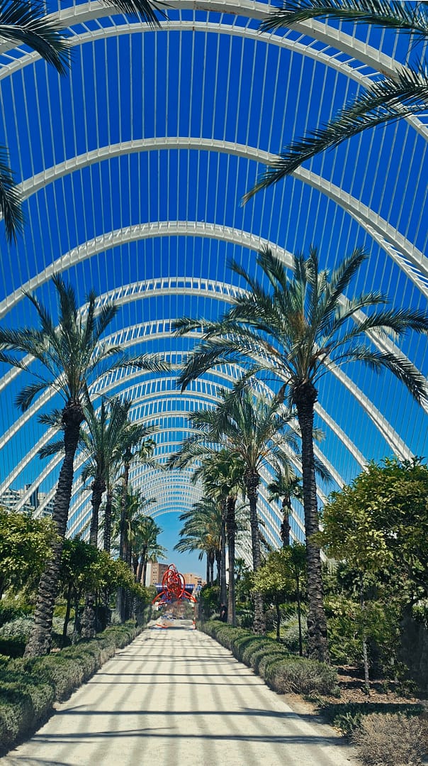 Visiter la Cité des Arts de Valencia : guide pratique et tarifs 2025 9 Cité des arts et des sciences de Valence jardins de l'umbracle