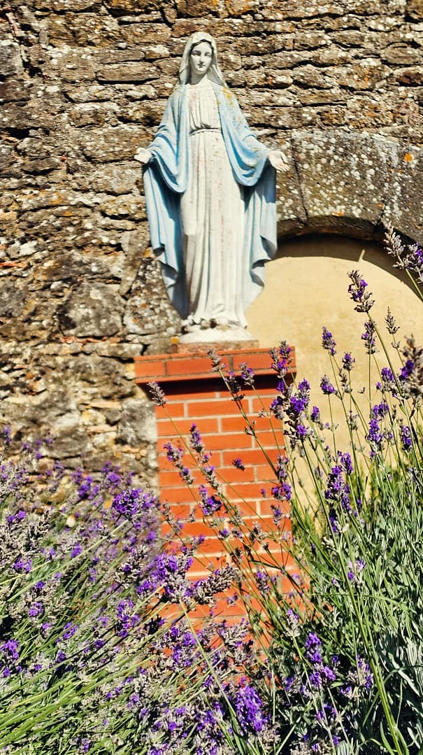 Dormir dans un château dans l'Aude : Château de Mézerville 16 chateau de Mezerville extérieurs chambre d'hôtes aude