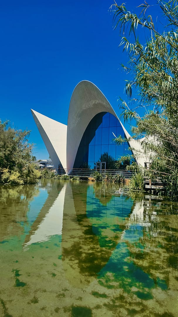 Visiter la Cité des Arts de Valencia : guide pratique et tarifs 2025 6 oceanographic Cité des arts et des sciences de Valence