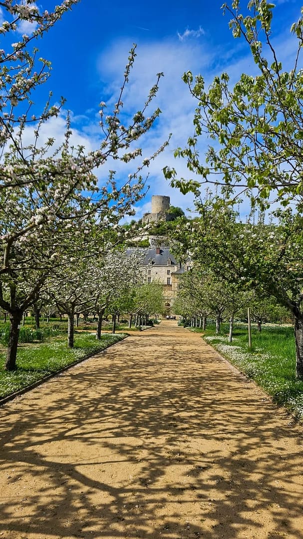 Visiter le Château de la Roche-Guyon : sortie d'un jour près de Paris 3 Les jardins à la française du chateau de la Roche Guyon dans le val d'oise