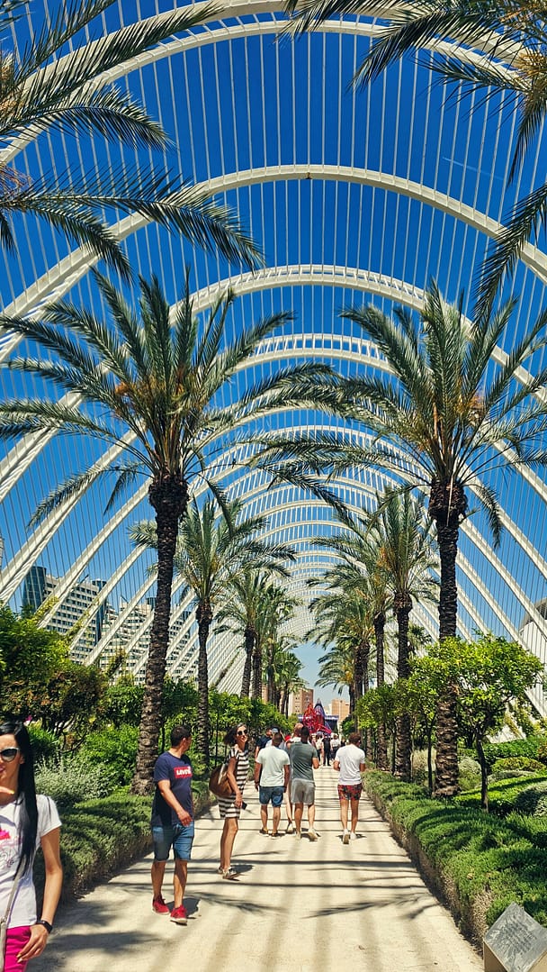 Visiter la Cité des Arts de Valencia : guide pratique et tarifs 2025 10 Cité des arts et des sciences de Valence jardins de l'umbracle