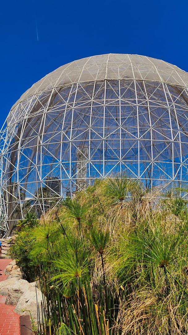 Visiter la Cité des Arts de Valencia : guide pratique et tarifs 2025 5 oceanographic Cité des arts et des sciences de Valence