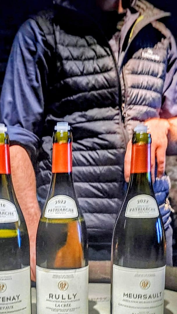 Week-end à Beaune : Entre Hospices et Caves, un voyage dans le temps 13 Dans les caves de la maison patriarche week-end à Beaune dégustation de vins