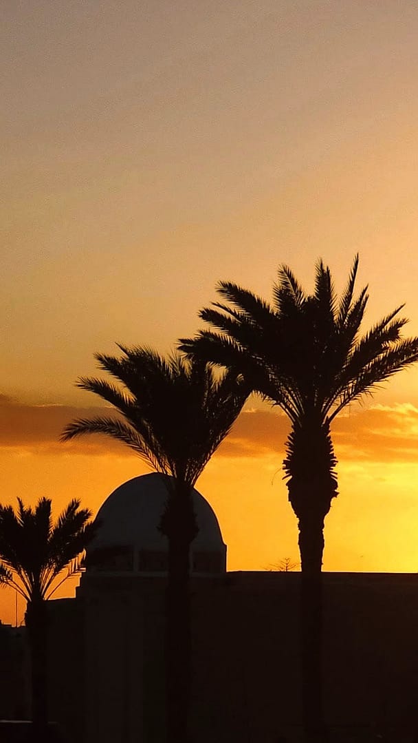 Mahdia, la perle méconnue de la Tunisie : guide et récit d'une semaine idéale. 14 Silhouette de palmiers au coucher de soleil