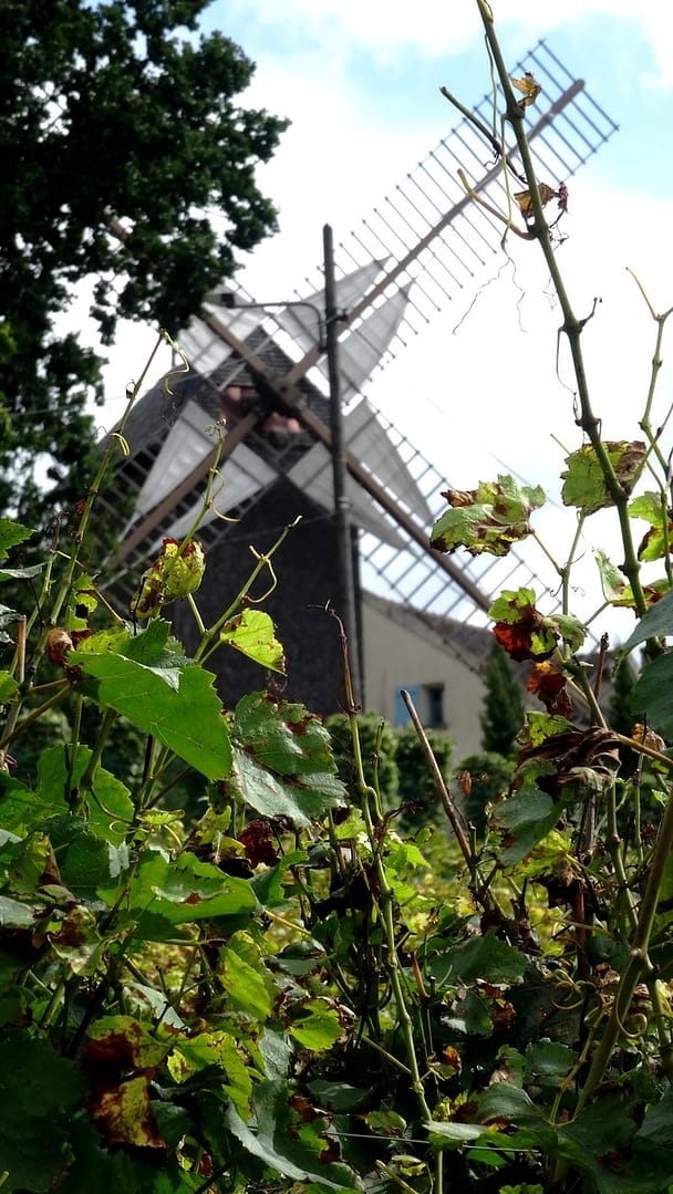 #En France aussi : le moulin de Sannois 3 moulin01