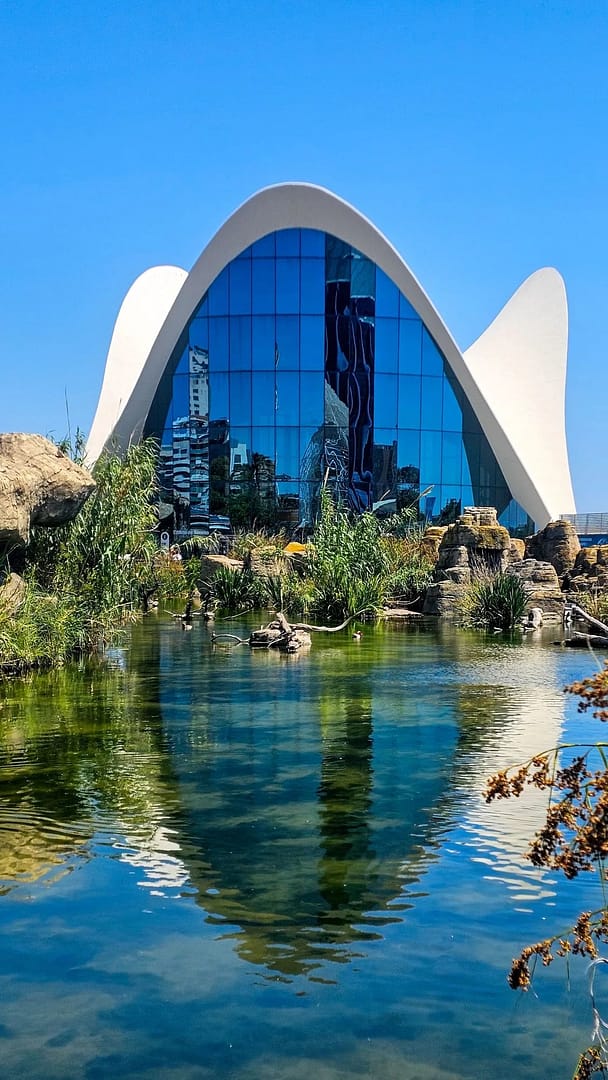 Que faire à Valencia en 3 jours ? Itinéraire complet + conseils 2 Oceanografic valencia en 3 jours escapades amoureuses