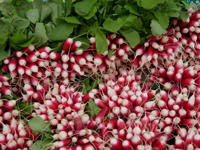 Chambres d'hôtes Fenêtres-sur-mer : 10 ans ! 11 au marché de sainte-marguerite sur mer seine-maritime normandie