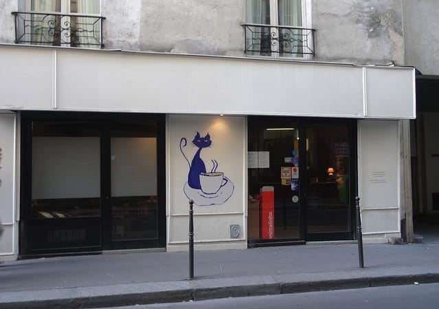 A Paris, le café des chats : avis mitigé. 19 cafedeschats01