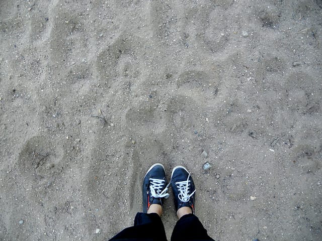 Cosy Maisons-Laffitte 4 ML05