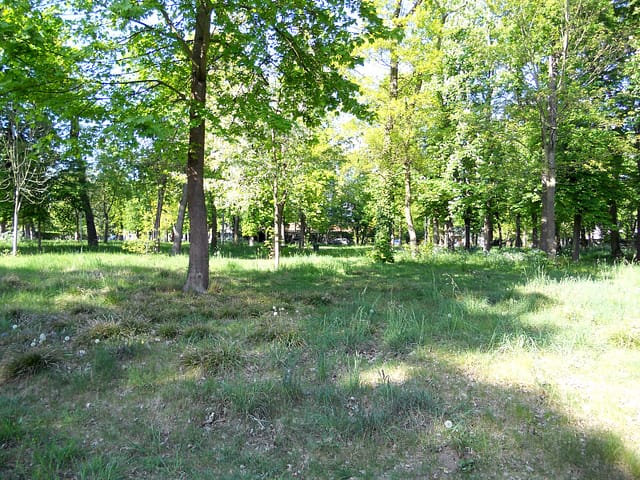 Cosy Maisons-Laffitte 5 ML16