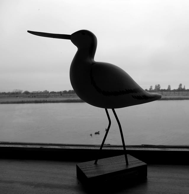 Viens dans ma hutte, à Quend. 7 quend08