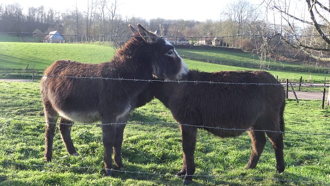 Une petite bonbonnière en Normandie 12 valaucesne12