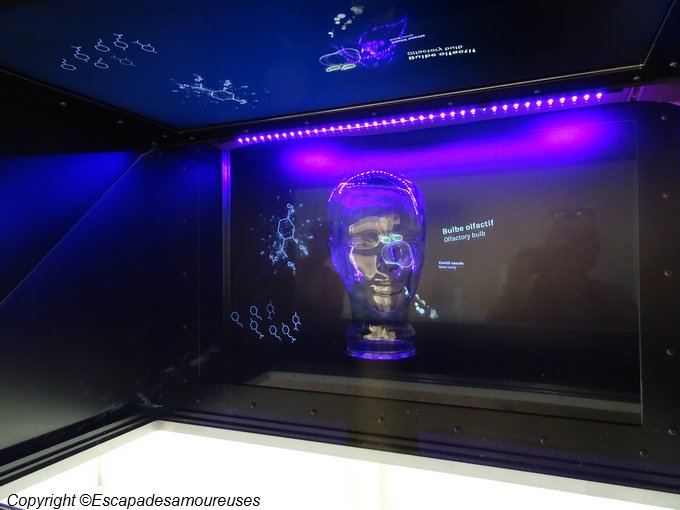 A Paris, le Grand Musée du Parfum 3 grandmuséeduparfum15