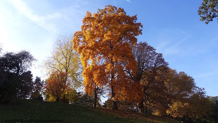 Paris : l'automne au Parc Montsouris 3 parcmontsouris03