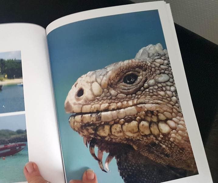 Livres photos de nos voyages 5 livre photos atelier rosemood escapades amoureuses