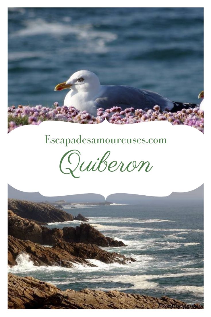 Quiberon : la mer à perte de vue 19 quiberonpinterest