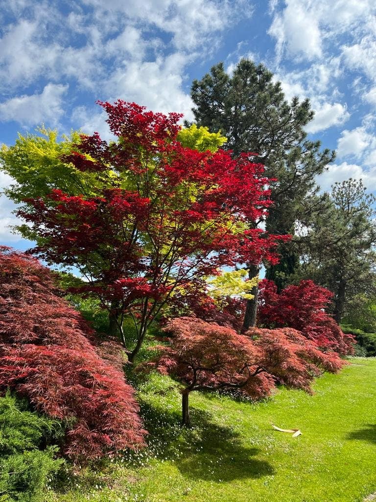 Escapade en Italie au bord du Lac de Garde. 35 Parco Giardino Sigurtà