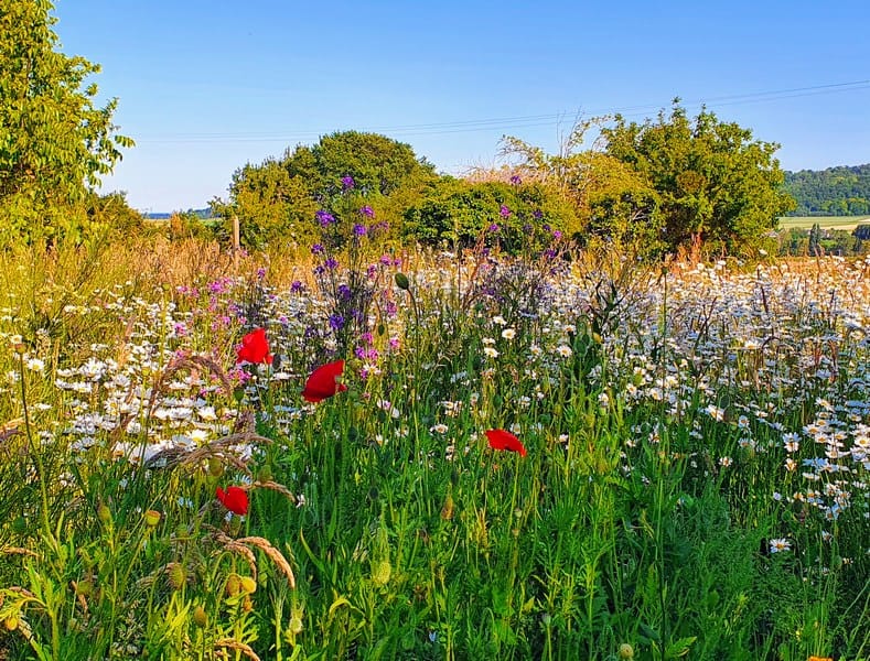 Un week-end à la campagne en Picardie (60). 3 le verger de la Linotte week-end à la campagne en picardie dans l'oise