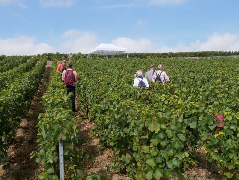 Visiter Epernay, capitale du Champagne en lumières. 11 Epernay capitale du champagne