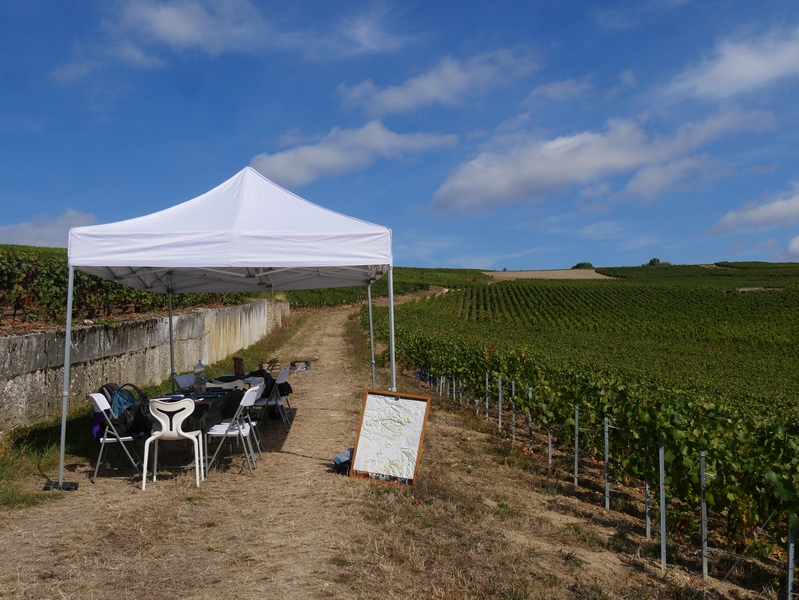 Visiter Epernay, capitale du Champagne en lumières. 9 Epernay capitale du champagne