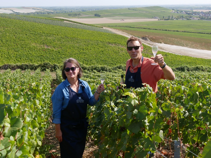 Visiter Epernay, capitale du Champagne en lumières. 15 Epernay capitale du champagne