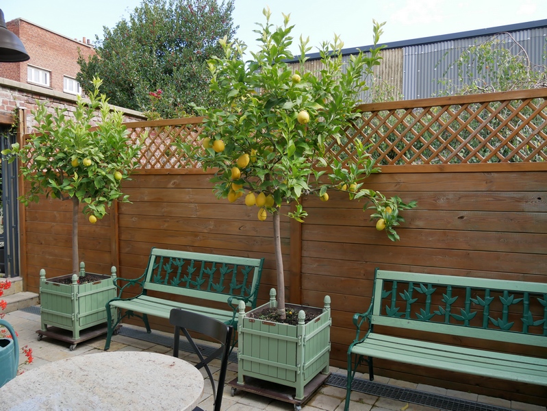 Escapade amoureuse à Lens 37 lens21