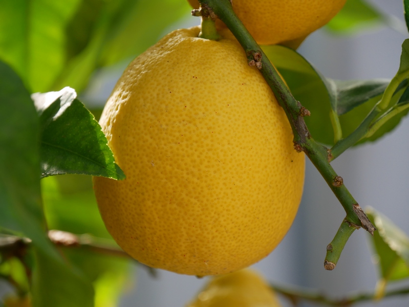 Escapade amoureuse à Lens 36 lens22