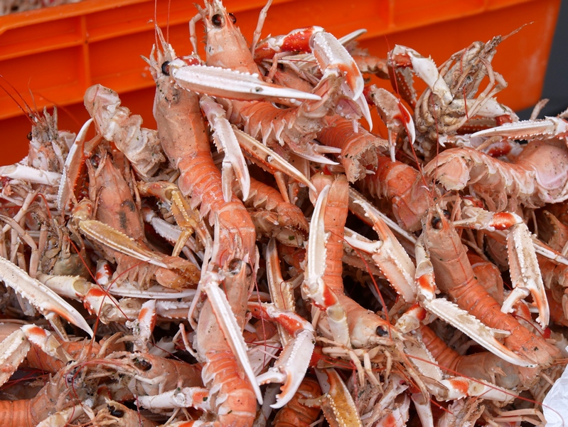 Baie de Somme : entre gris clair et gris foncé. 14 Escapade amoureuse en Baie de Somme décembre 2018 langoustines Saint-Valéry-sur-Somme
