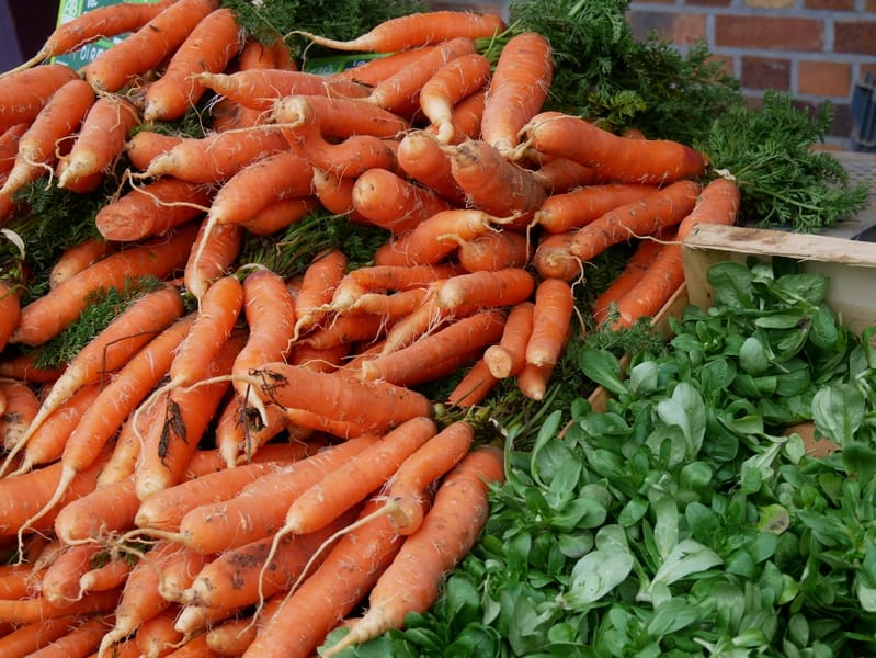 Chambres d'hôtes Fenêtres-sur-mer : 10 ans ! 12 au marché de sainte-marguerite sur mer seine-maritime normandie