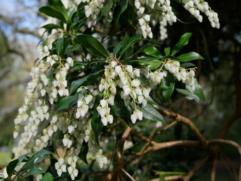 Chambres d'hôtes Fenêtres-sur-mer : 10 ans ! 51 bois des moutiers varengeville sur mer seine maritime normandie