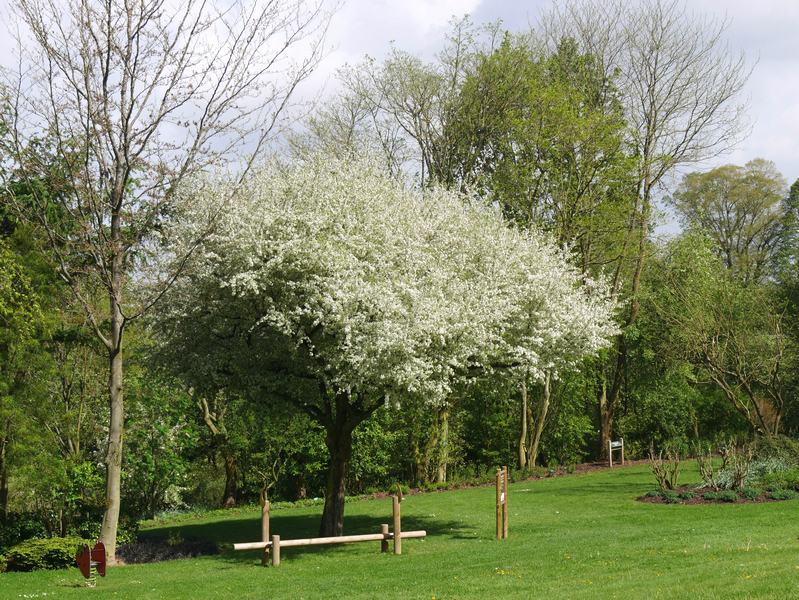 Week-end dans la Somme 6 les jardins de valloires Argoules week-end dans la somme escapades amoureuses