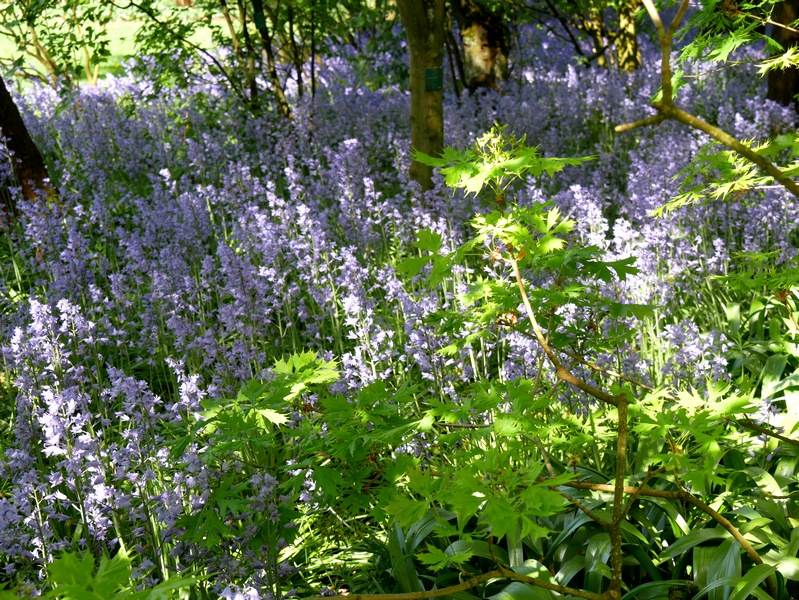 Week-end dans la Somme 5 les jardins de valloires Argoules week-end dans la somme escapades amoureuses