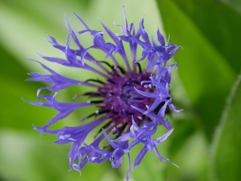 Week-end dans la Somme 7 les jardins de valloires Argoules week-end dans la somme escapades amoureuses