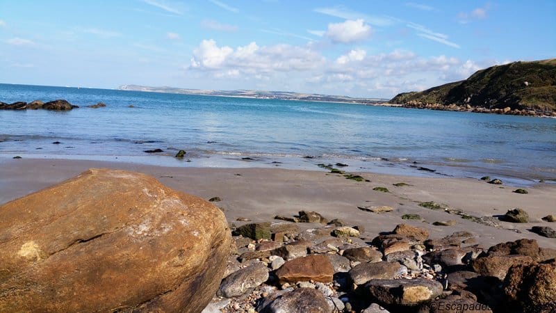 Restaurant La Sirène 8 la sirene06