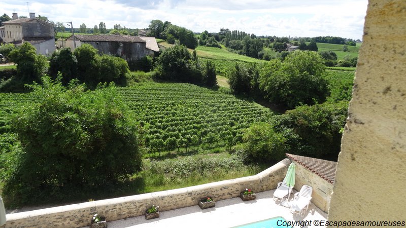 Une vie de château accessible près de Saint-Emilion 4 puisseguinchateaufleurderoques09