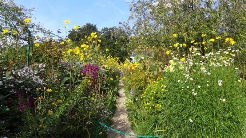 Giverny : 5 raisons de visiter le jardin de Claude Monet en automne 7 Jardin claude monet Giverny