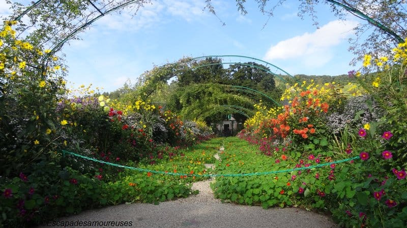 Giverny : 5 raisons de visiter le jardin de Claude Monet en automne 9 Jardin claude monet Giverny