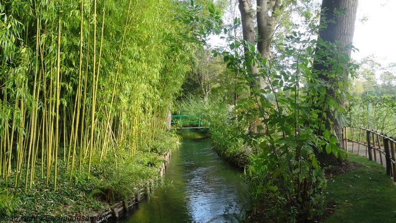 Giverny : 5 raisons de visiter le jardin de Claude Monet en automne 10 Jardin claude monet Giverny