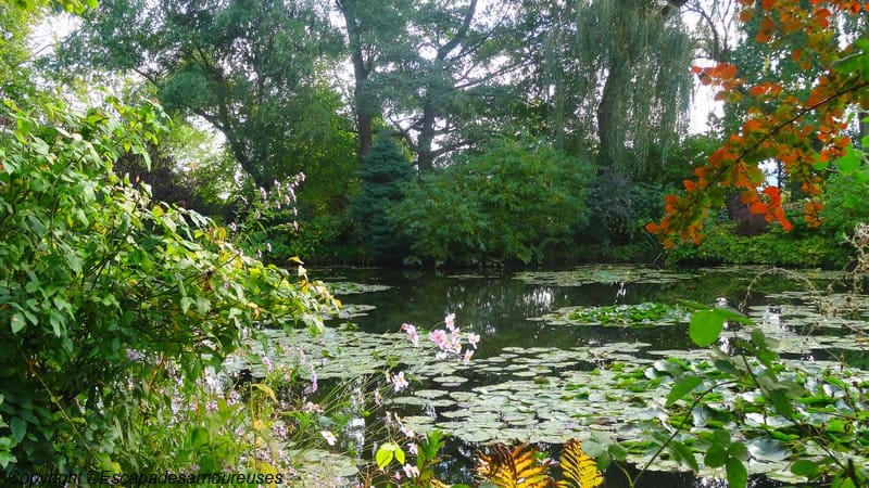 Giverny : 5 raisons de visiter le jardin de Claude Monet en automne 12 Jardin claude monet Giverny