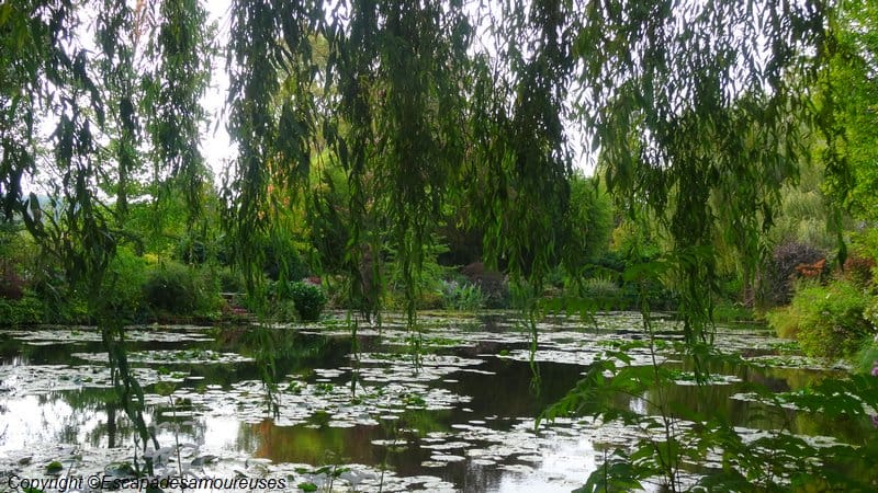 Giverny : 5 raisons de visiter le jardin de Claude Monet en automne 13 Jardin claude monet Giverny