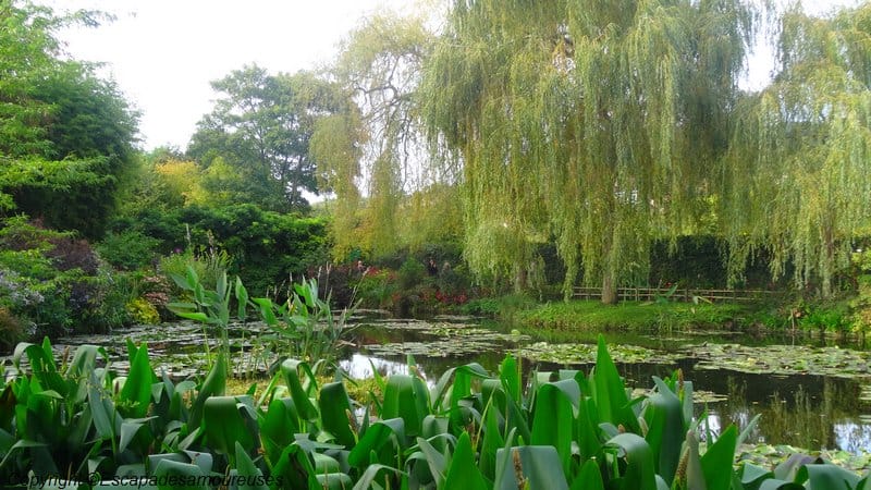 Giverny : 5 raisons de visiter le jardin de Claude Monet en automne 14 Jardin claude monet Giverny