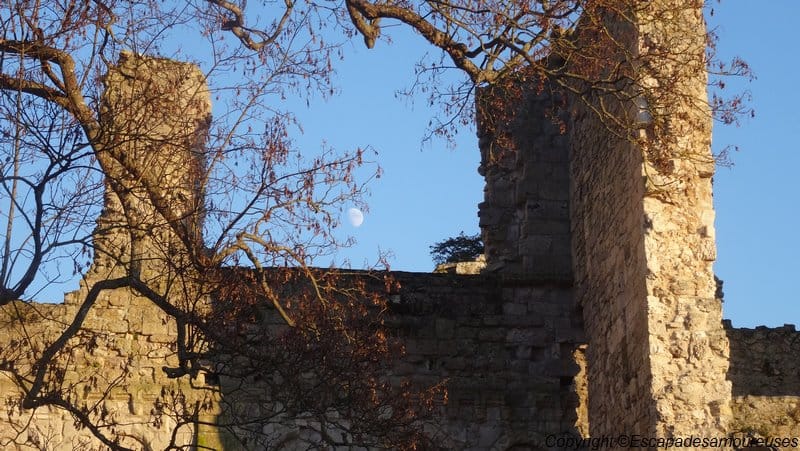 Escapade dans le temps à l'Abbaye de Jumièges 13 abbayejumieges14
