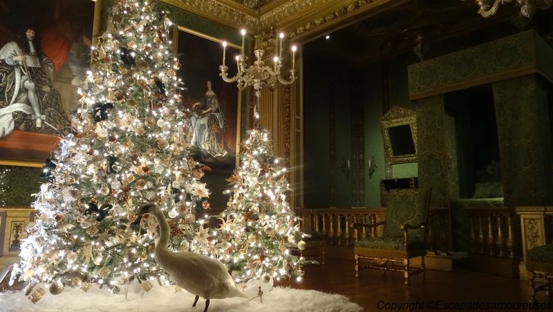 Visite féérique au Château de Vaux-le-Vicomte 5 vlcnuit03