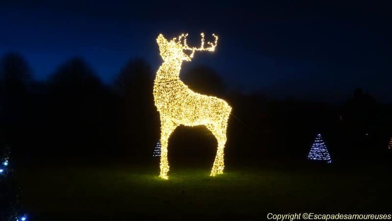Visite féérique au Château de Vaux-le-Vicomte 8 vlcnuit06