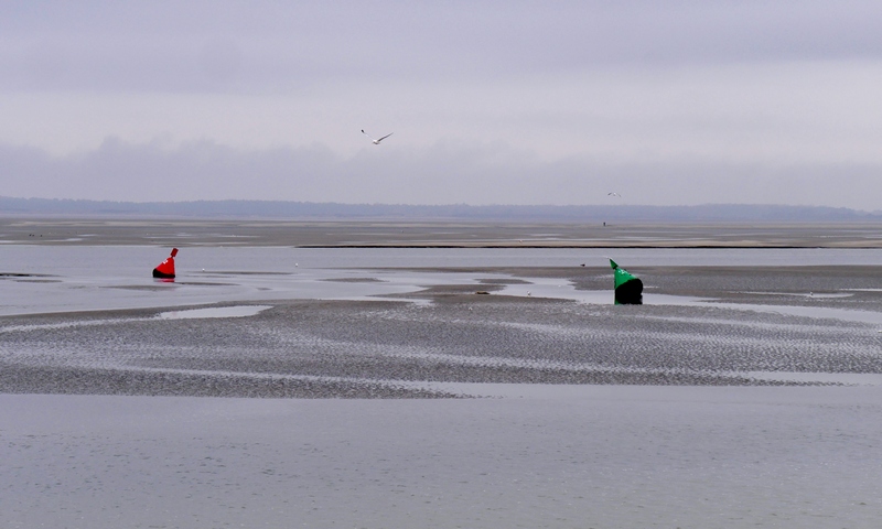 Baie de Somme : entre gris clair et gris foncé. 5 Escapade amoureuse en Baie de Somme décembre 2018
