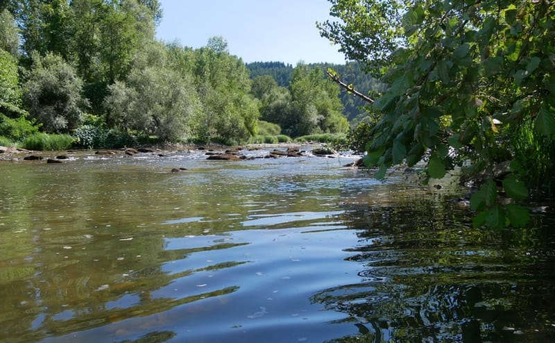 Mon spot de baignade dans les gorges du Tarn ? 11 Ambialet Tarn EnFranceaussi bucolique baignade rivière gorges du Tarn