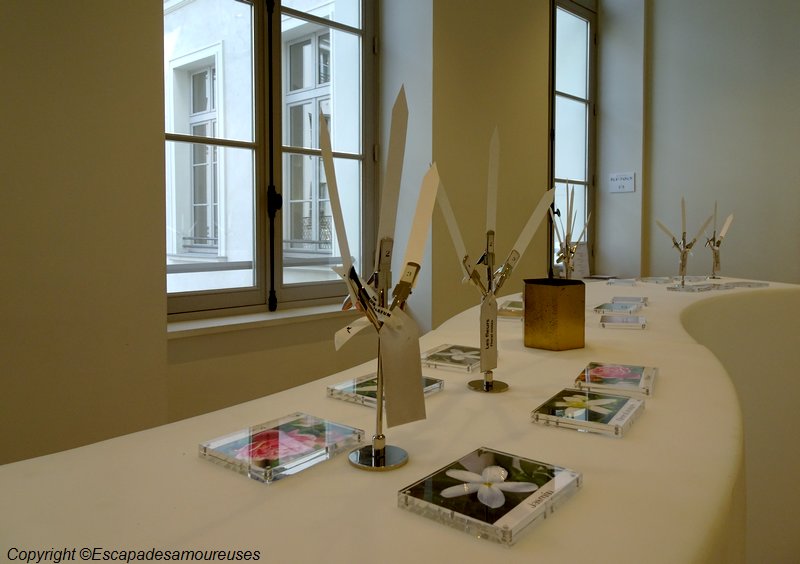 A Paris, le Grand Musée du Parfum 8 grandmuséeduparfum10