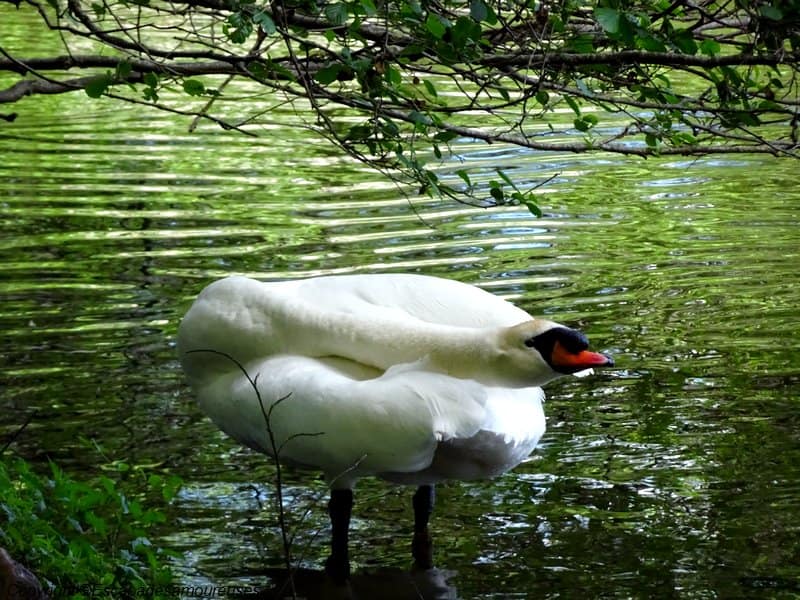Promenade au Parc du château de Grouchy 8 parcdegrouchy09